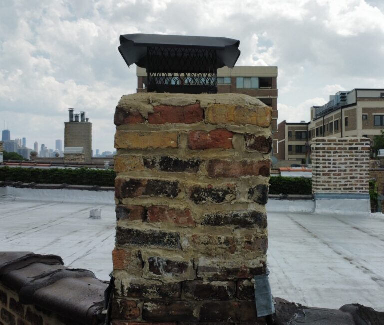 DCIM100MEDIADJI_0339